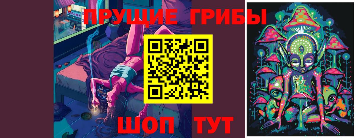 Псилоцибиновые грибы Psilocybe Елец