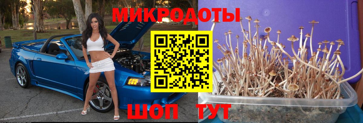 Псилоцибиновые грибы MAGIC MUSHROOMS  Вход с VPN  цена   Галлюциногенные грибы мухоморы  Елец 